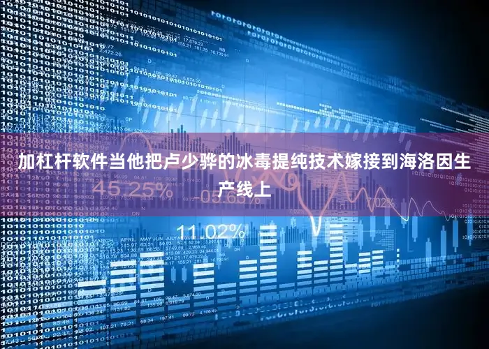加杠杆软件当他把卢少骅的冰毒提纯技术嫁接到海洛因生产线上