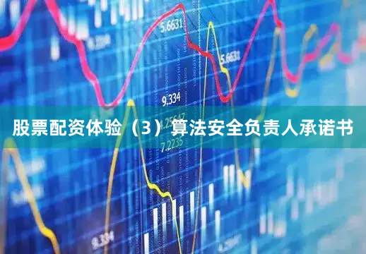 股票配资体验（3）算法安全负责人承诺书